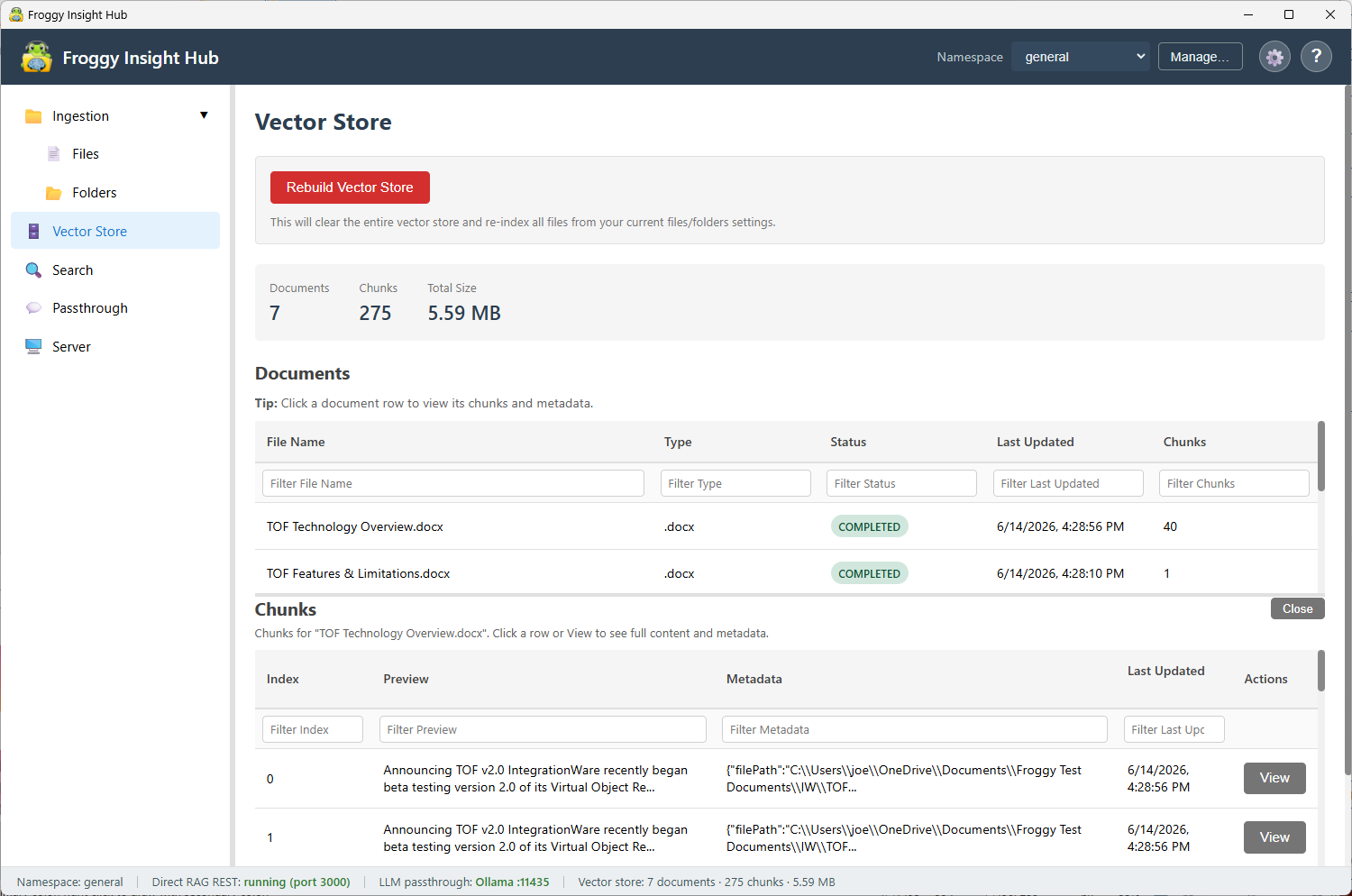 Froggy Context Hub vector store view showing indexed documents and chunk status